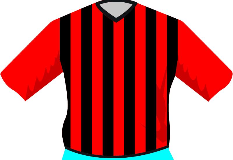 maglietta