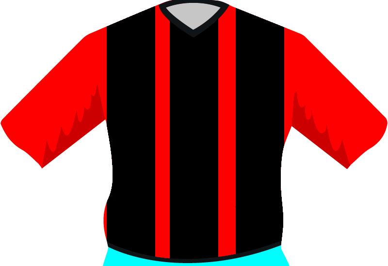 maglietta