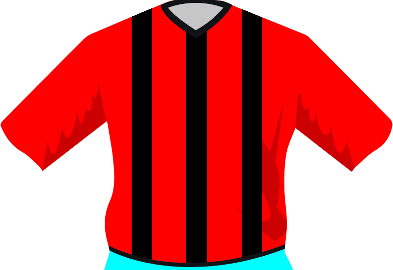 maglietta