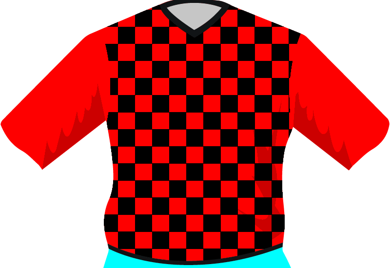 maglietta