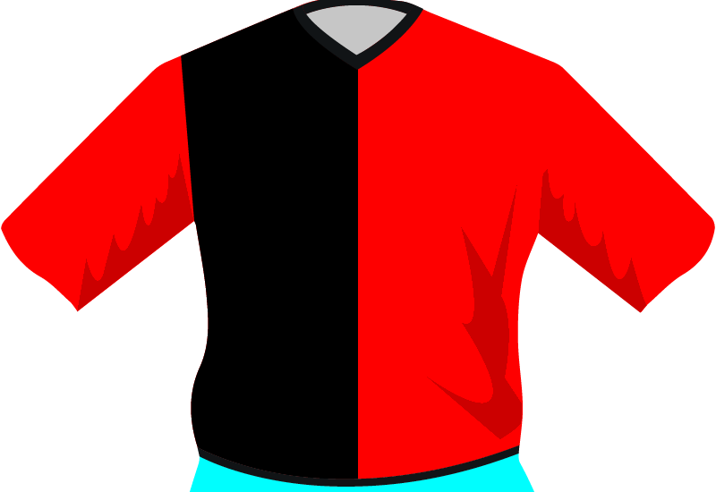 maglietta