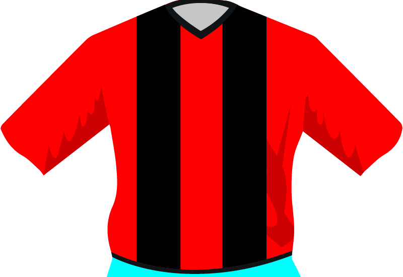 maglietta