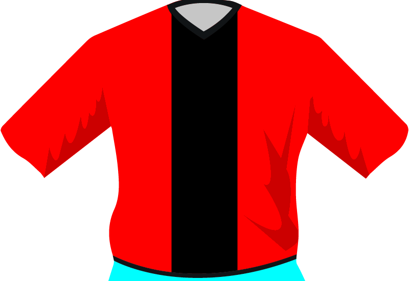 maglietta