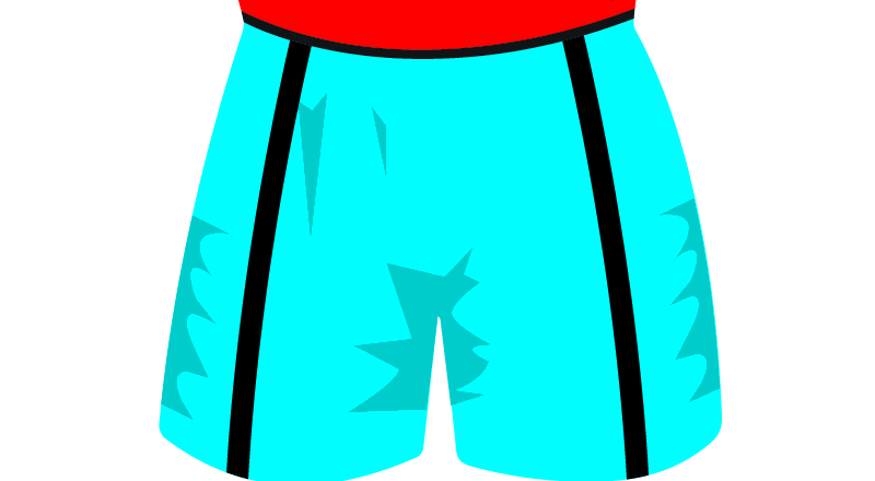 maglietta