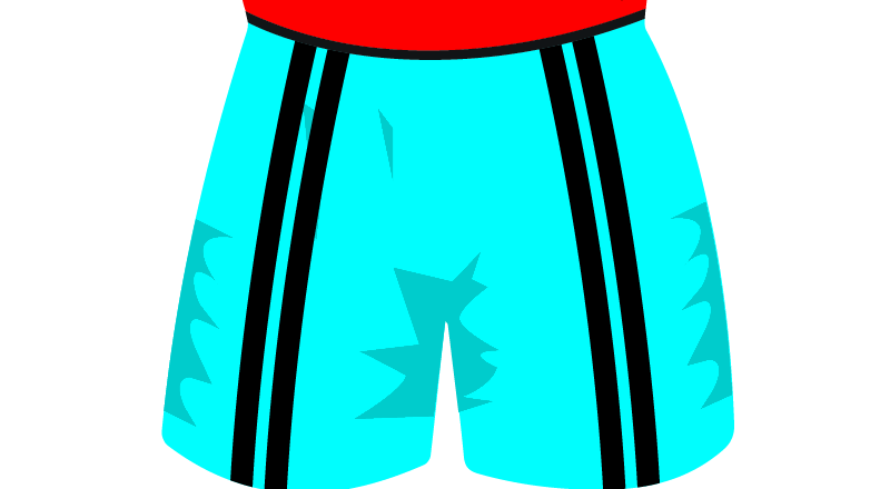 maglietta